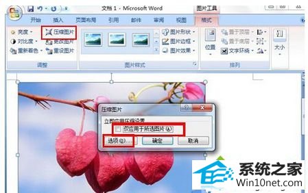 win10系统在office2007 word文档中插入图片后无法显示的图文步骤