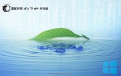 ϵͳwin10 64λֱװ»v2025.05