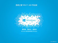 ϵͳ֮win11 64λ ⼤ѡƶv2025.05