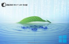 ϵͳwin1164λرЧv2025.05