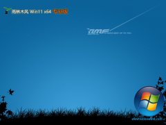 ľv2025.05win11 64λ
