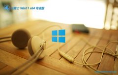 ʿwin11 64λϵͨv2025.05