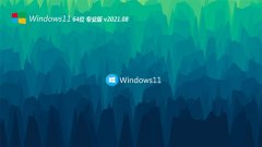 ϵͳ֮Windows11 64λ ǿװ 2021.08