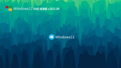 ϵͳ֮Windows11 鴿64λ 2021.09